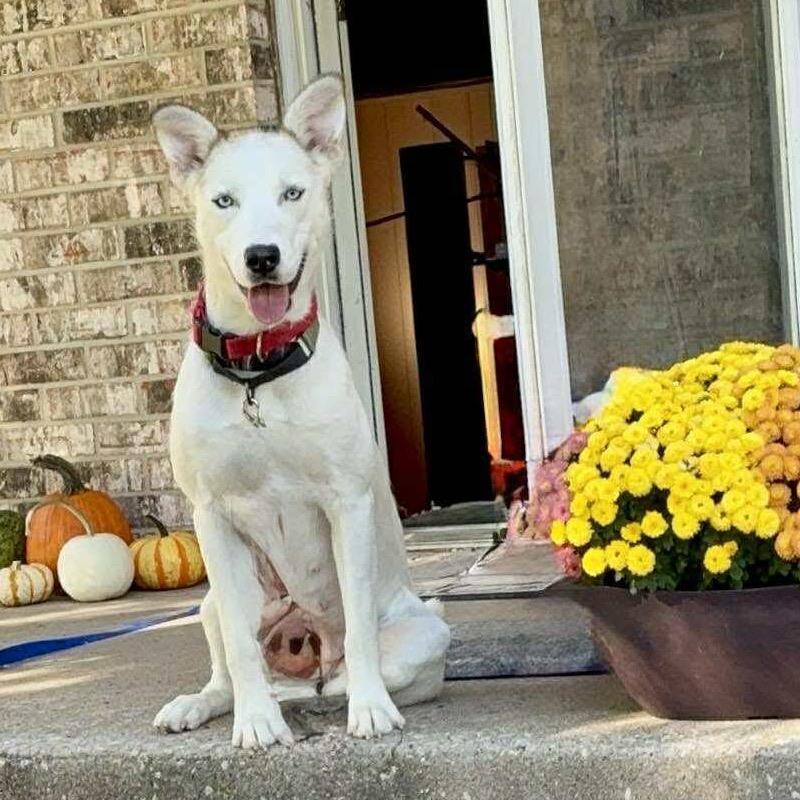 Anya (Mama)