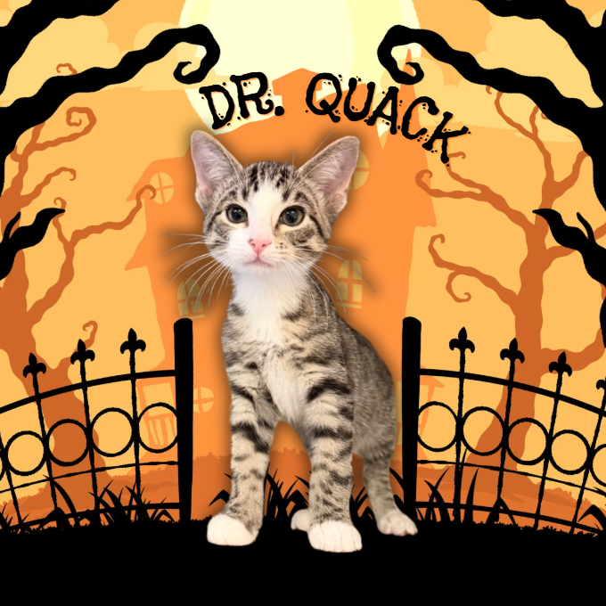 Dr. Quack