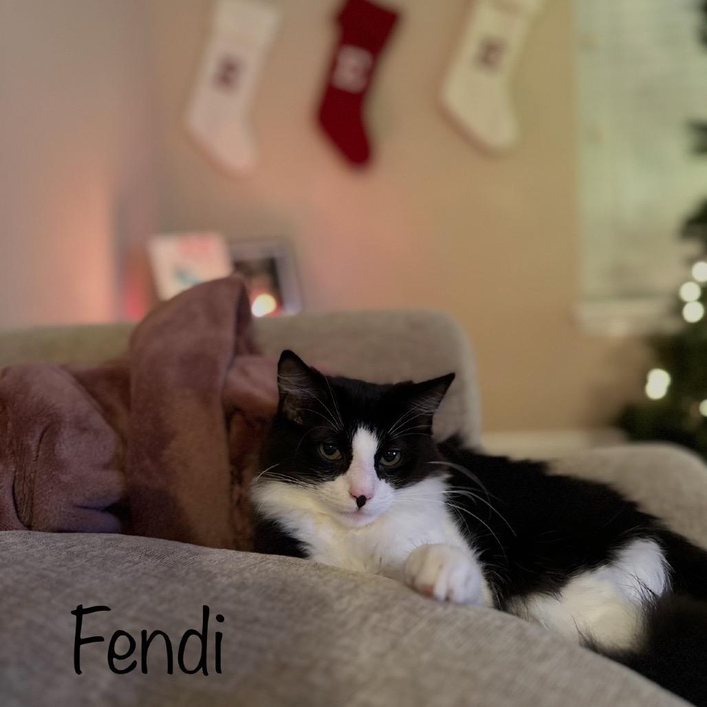 Fendi