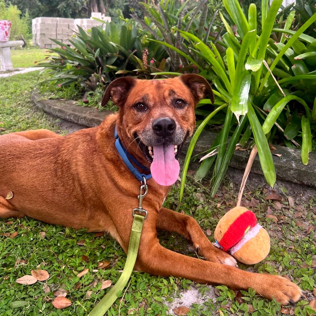 Zeke