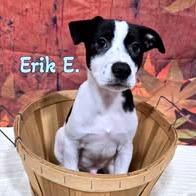 Erik E