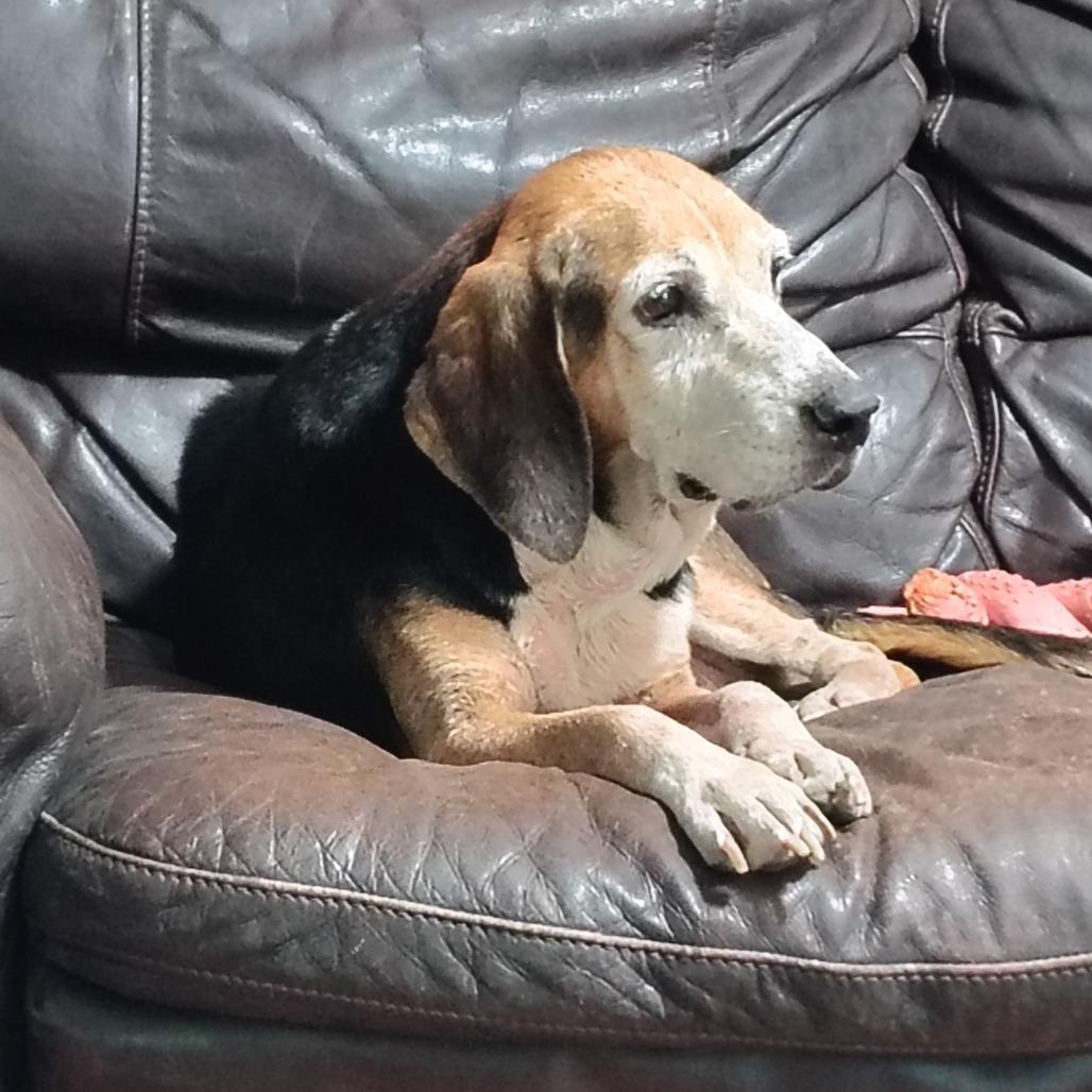 Rosie