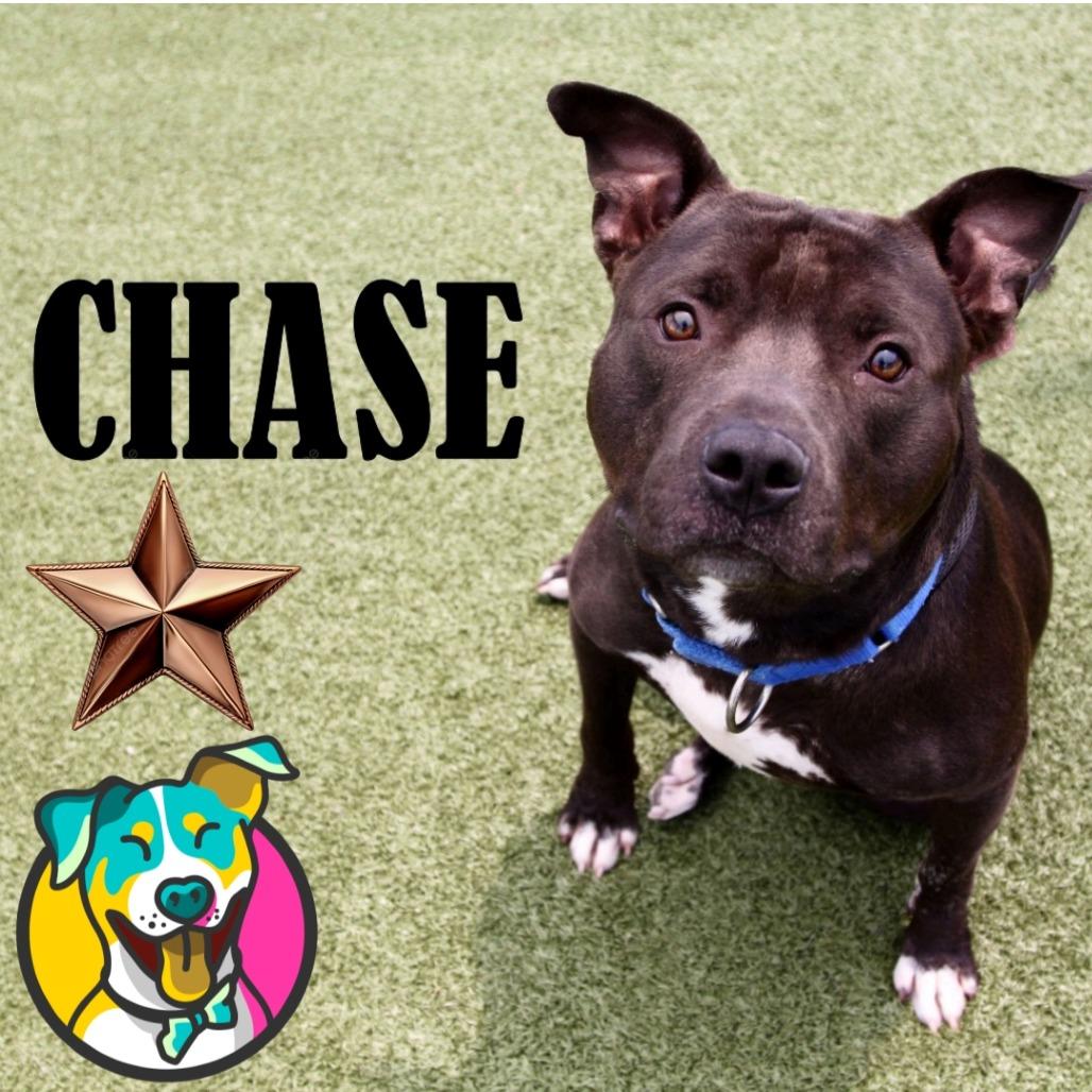 Chase
