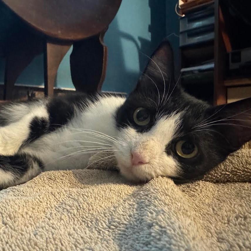 Grub Hub- In Foster