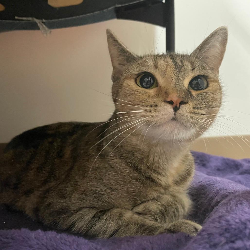 Kitto-In foster-50% OFF!