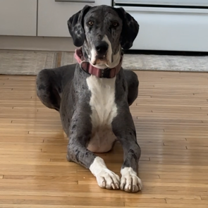 Minnie