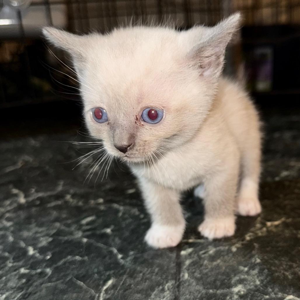 Luna