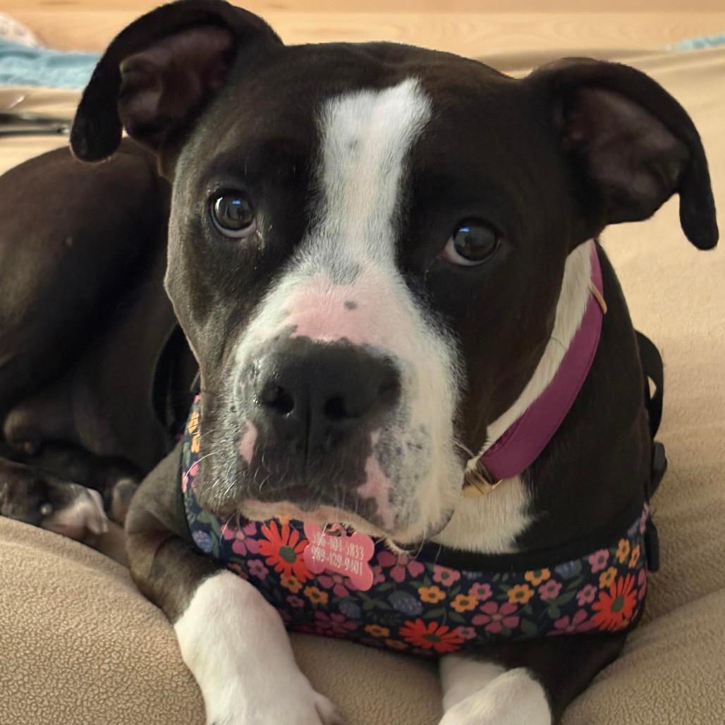 Molly