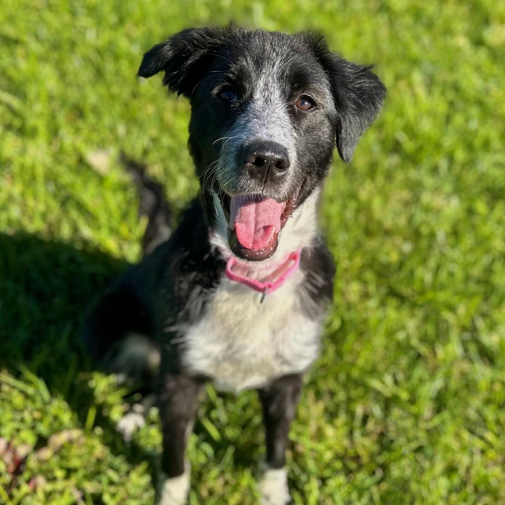 Eloise