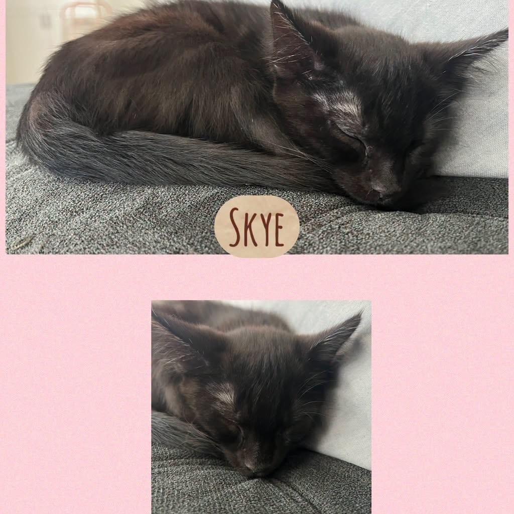 Skye