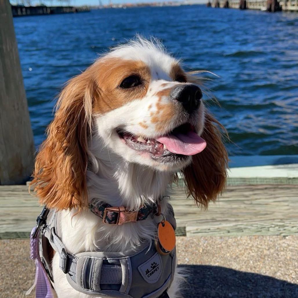 Delilah