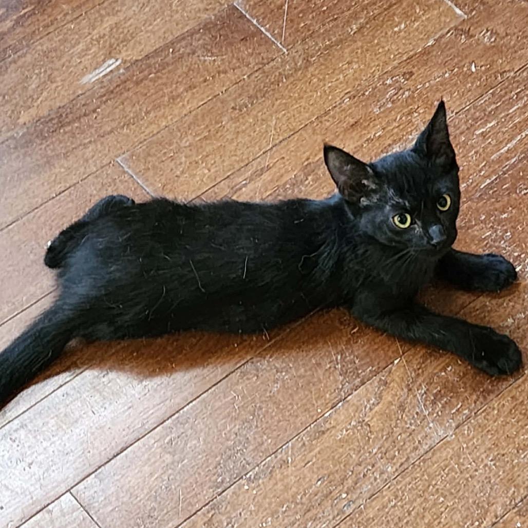 Vader