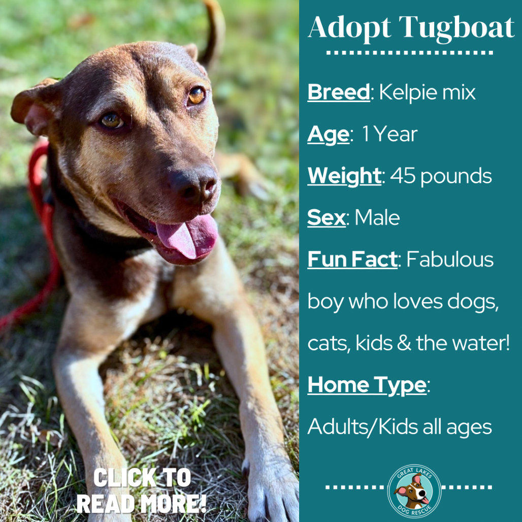 Tugboat
