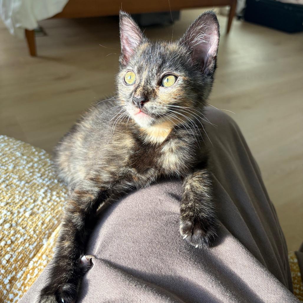 Angela