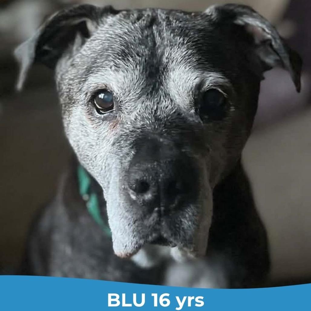 Blu