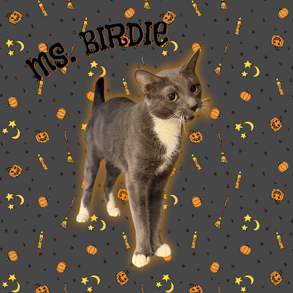 Ms. Birdie