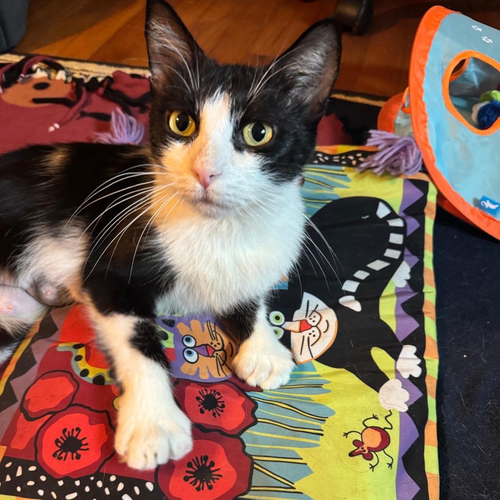 Grub Hub- In Foster