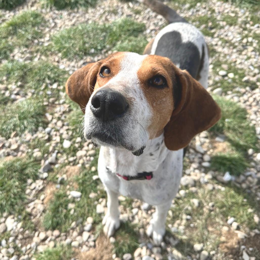 Maggie