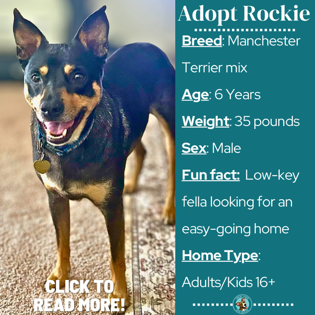 Rockie