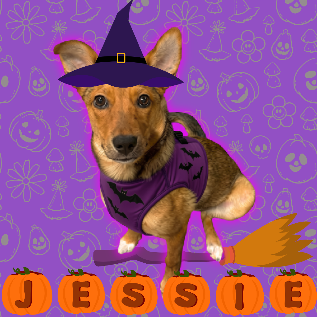 Jessie
