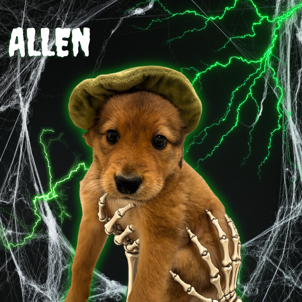 Allen