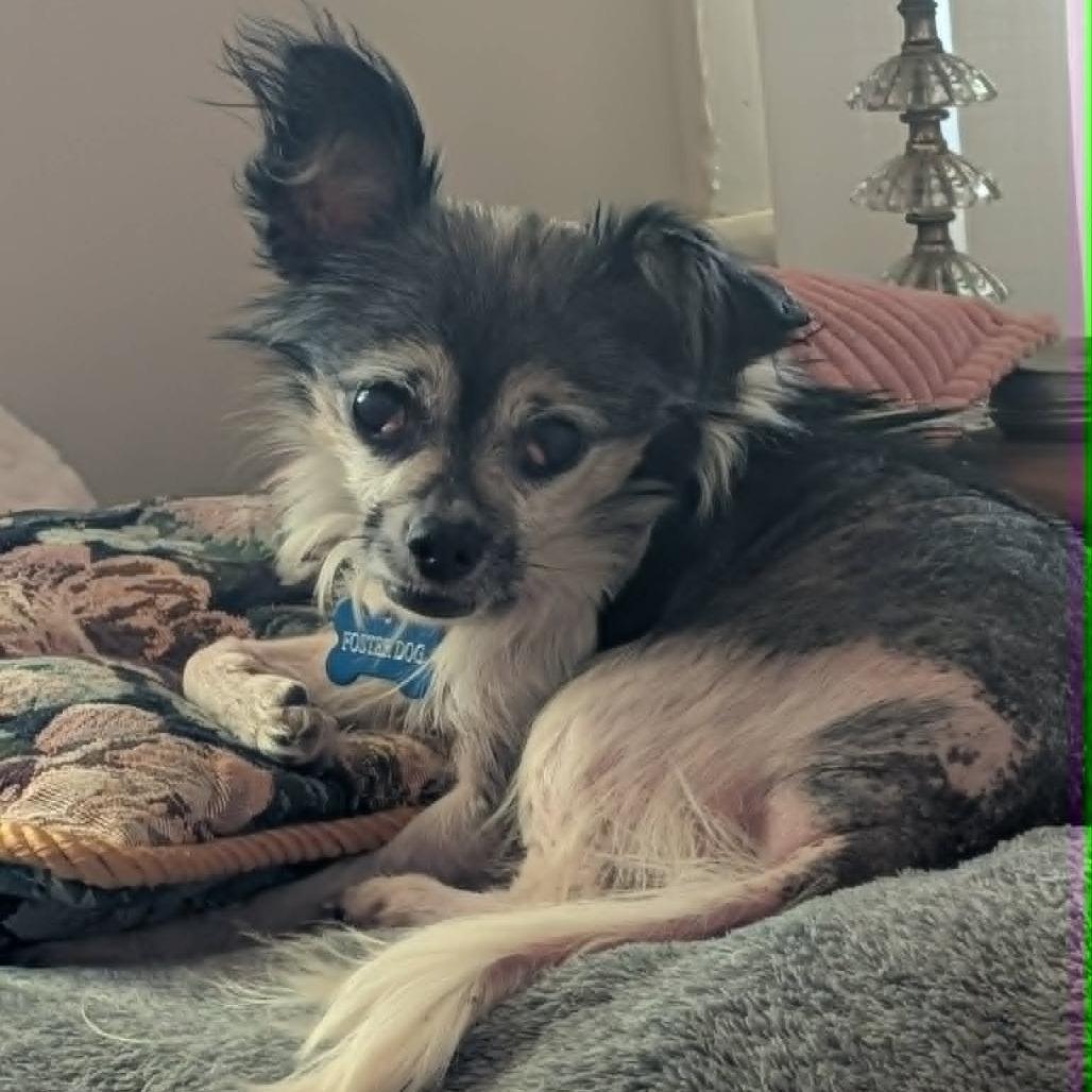 Gertrude