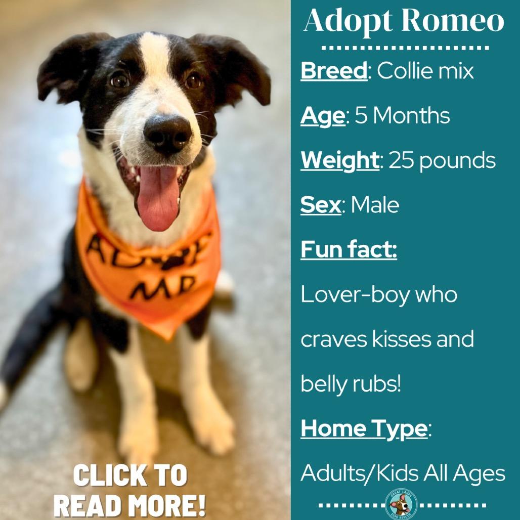 Romeo