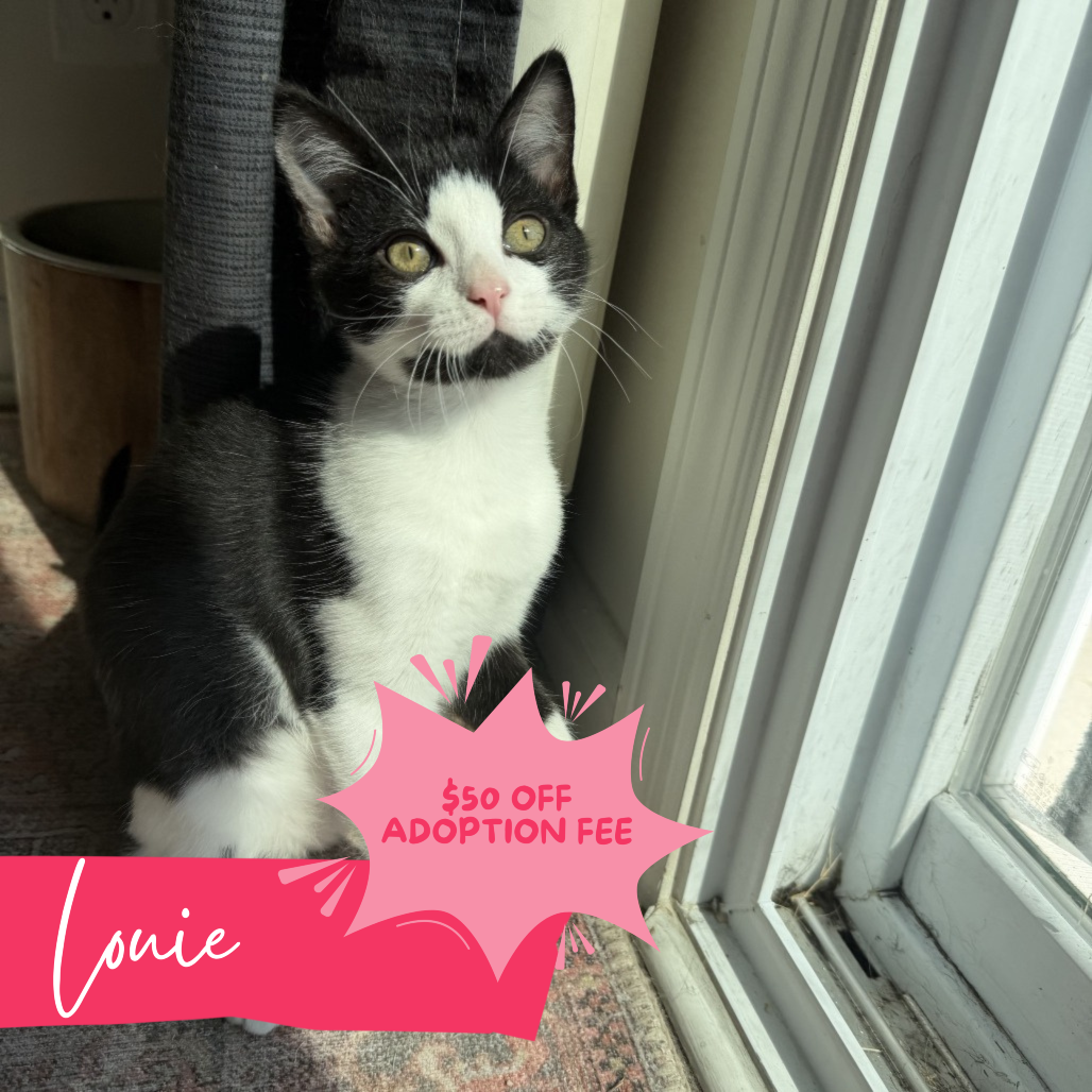 Louie