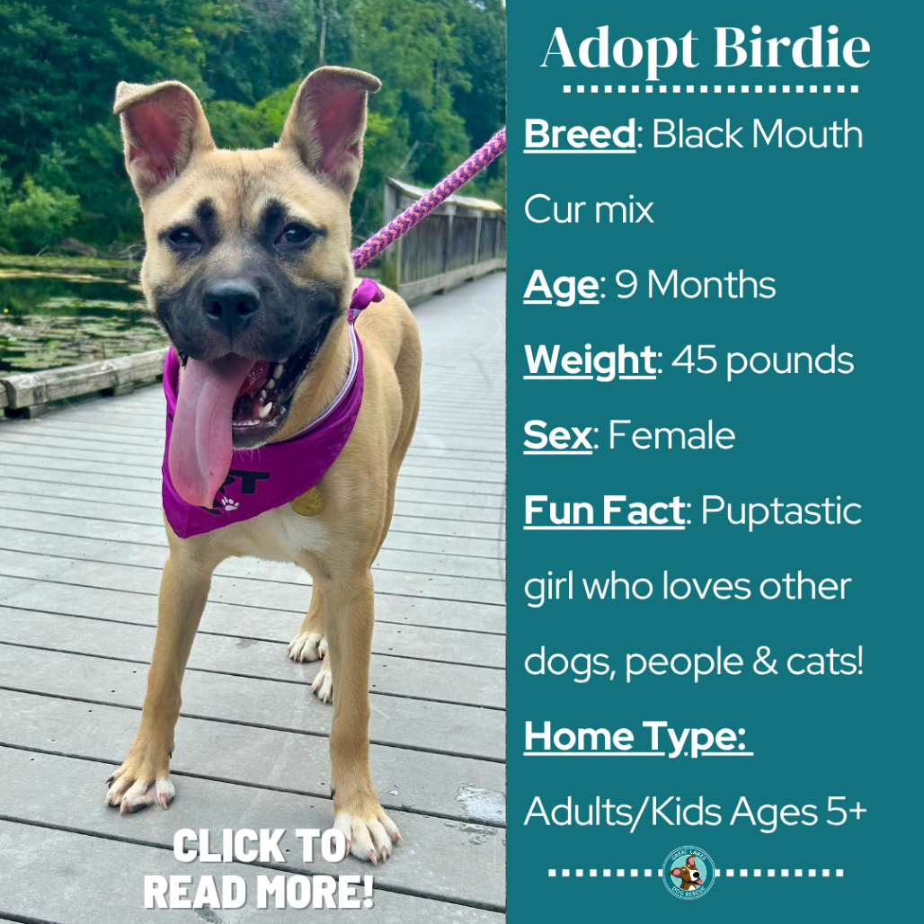Birdie