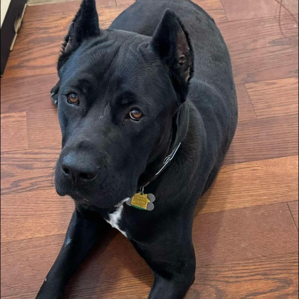 Zeus