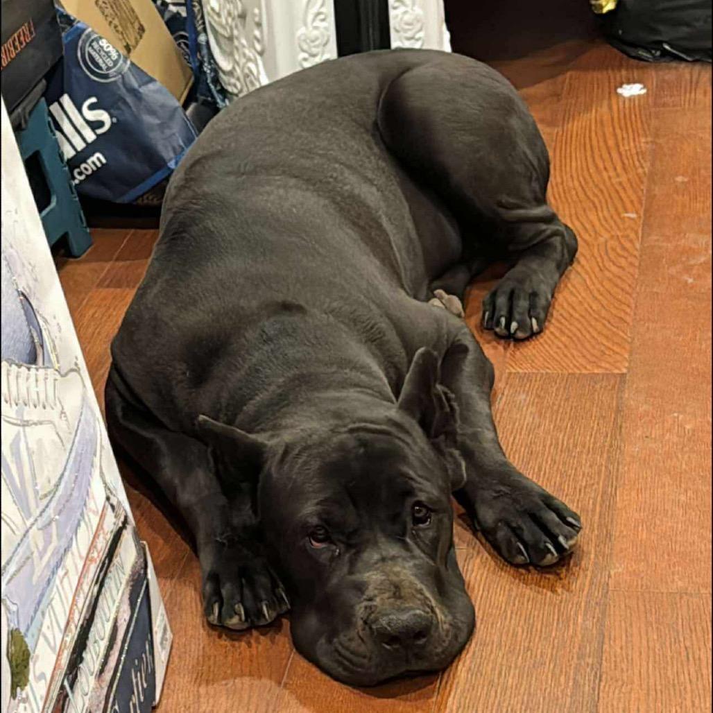 Hera