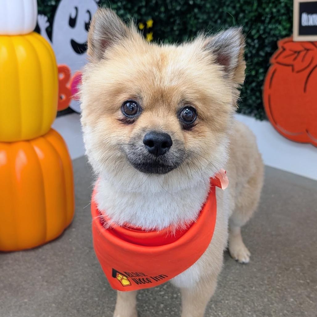 Charlie
