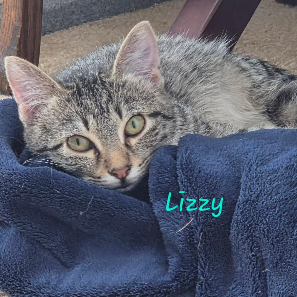 Lizzy