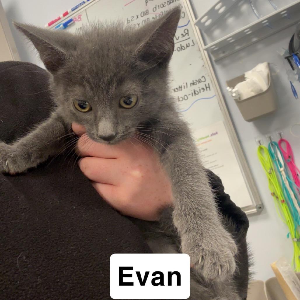 Evan