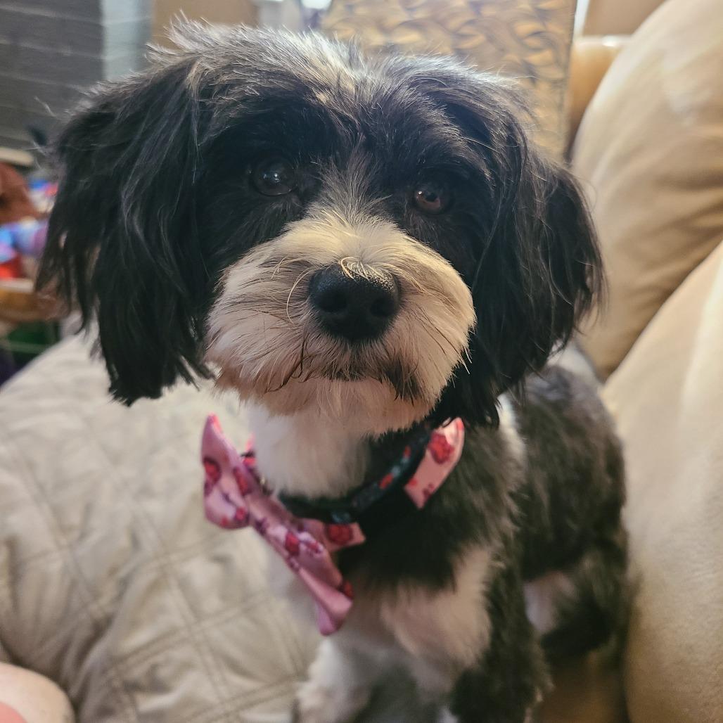 Bonnie