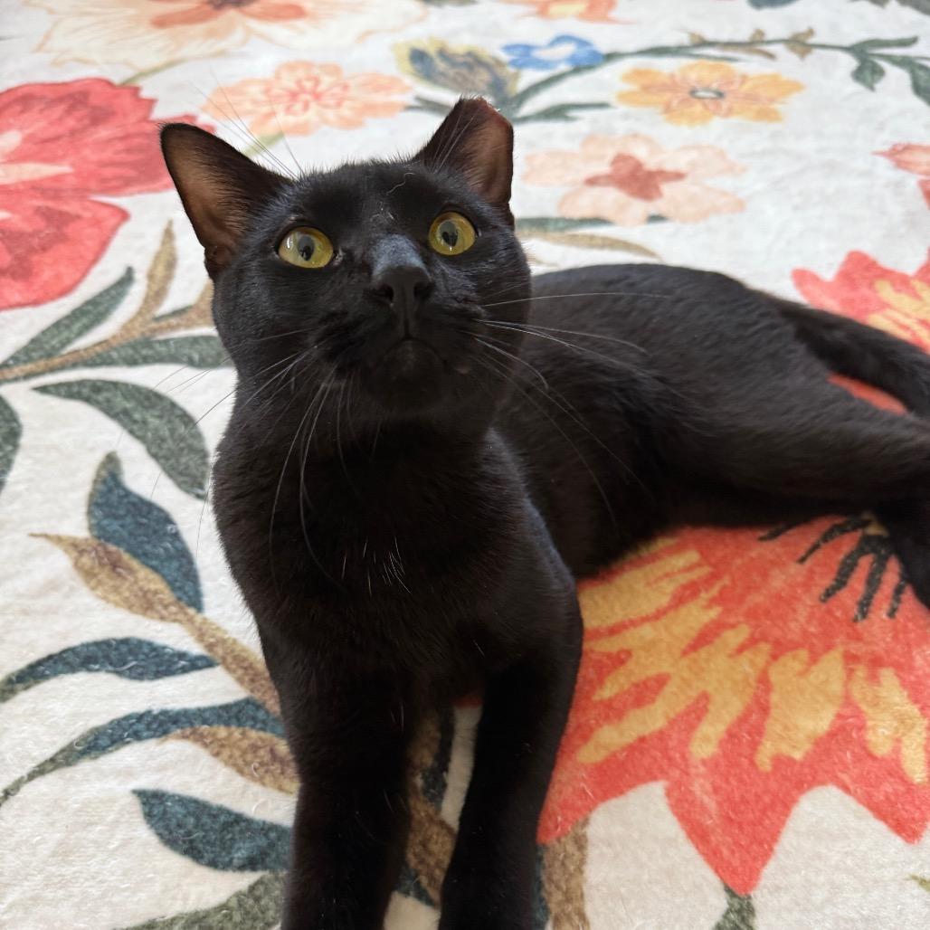 Max