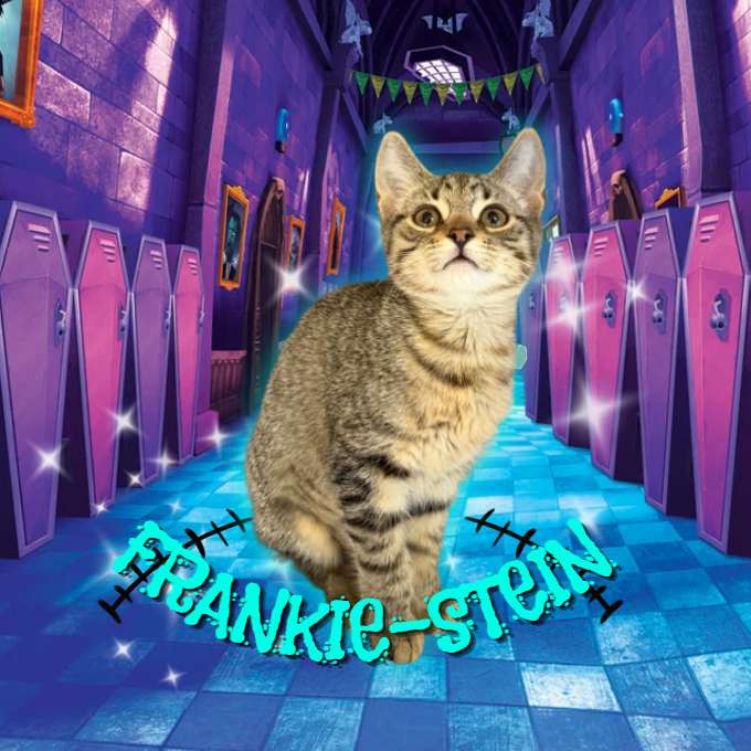 Frankie Stein 