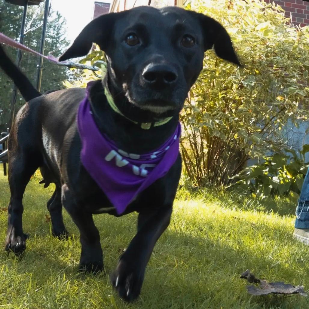 Roxann ( Roxy) 