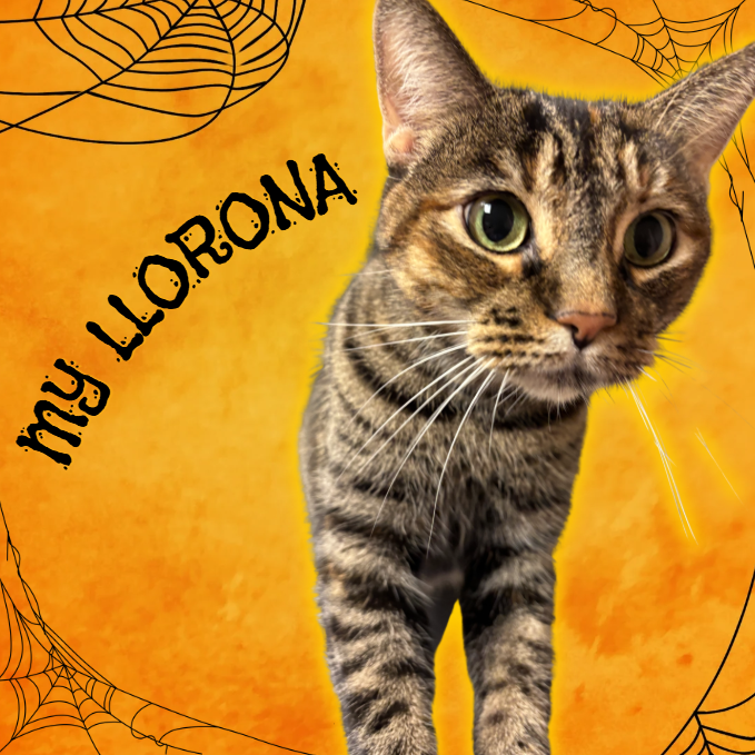 My Llorona