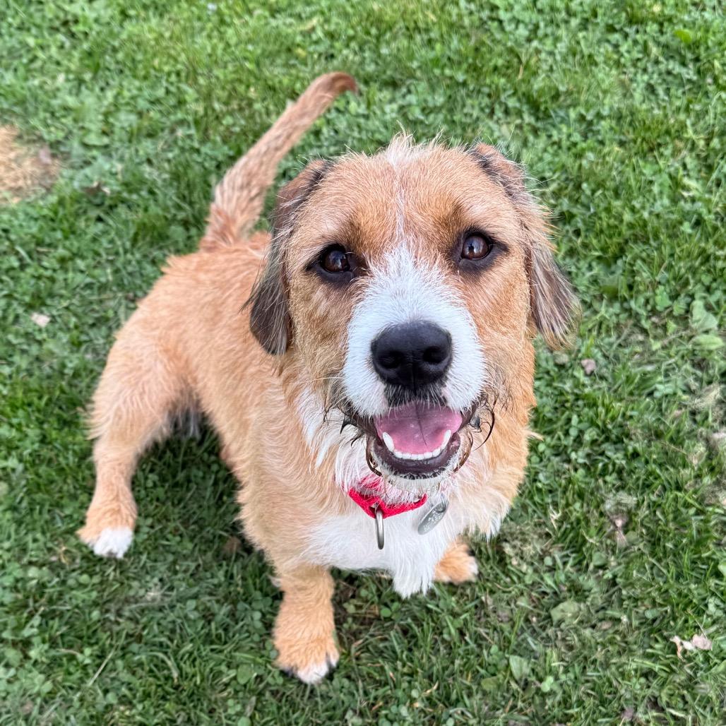 Greta