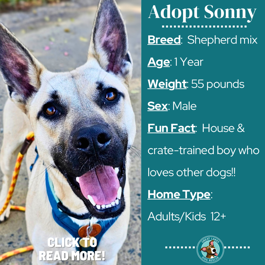 Sonny