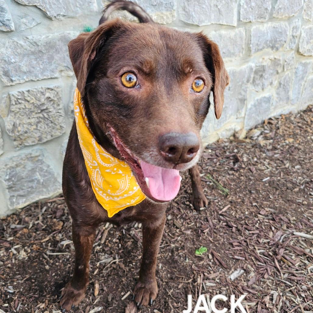 Jack