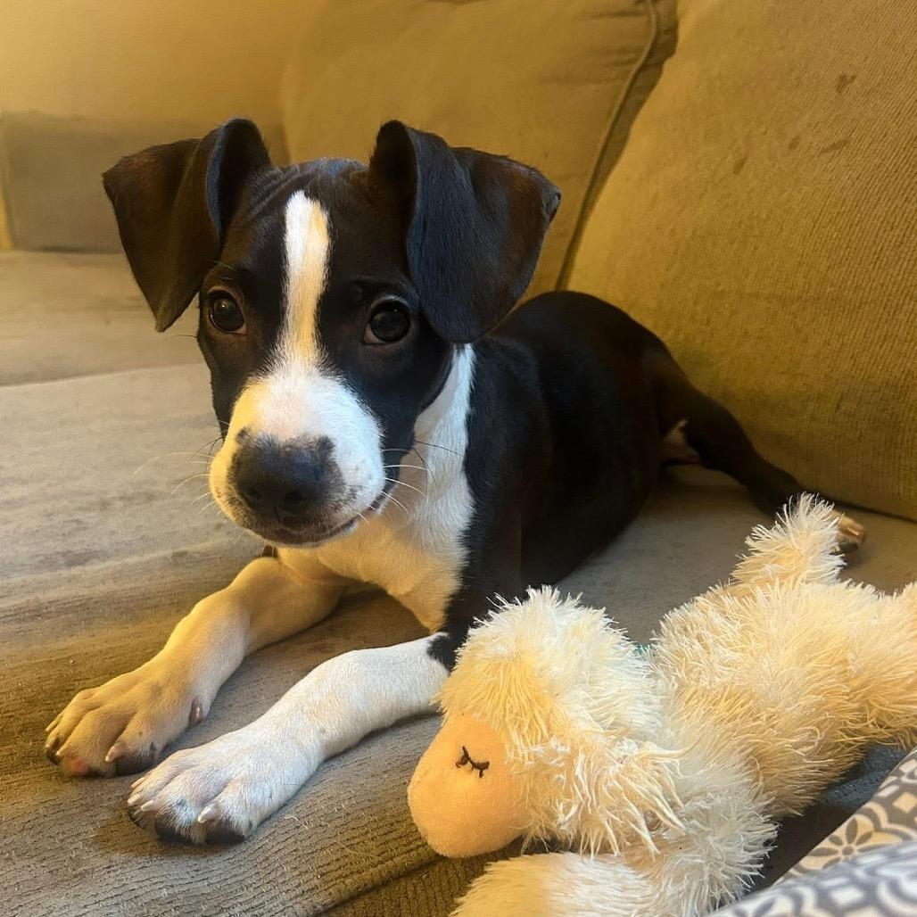 Coco