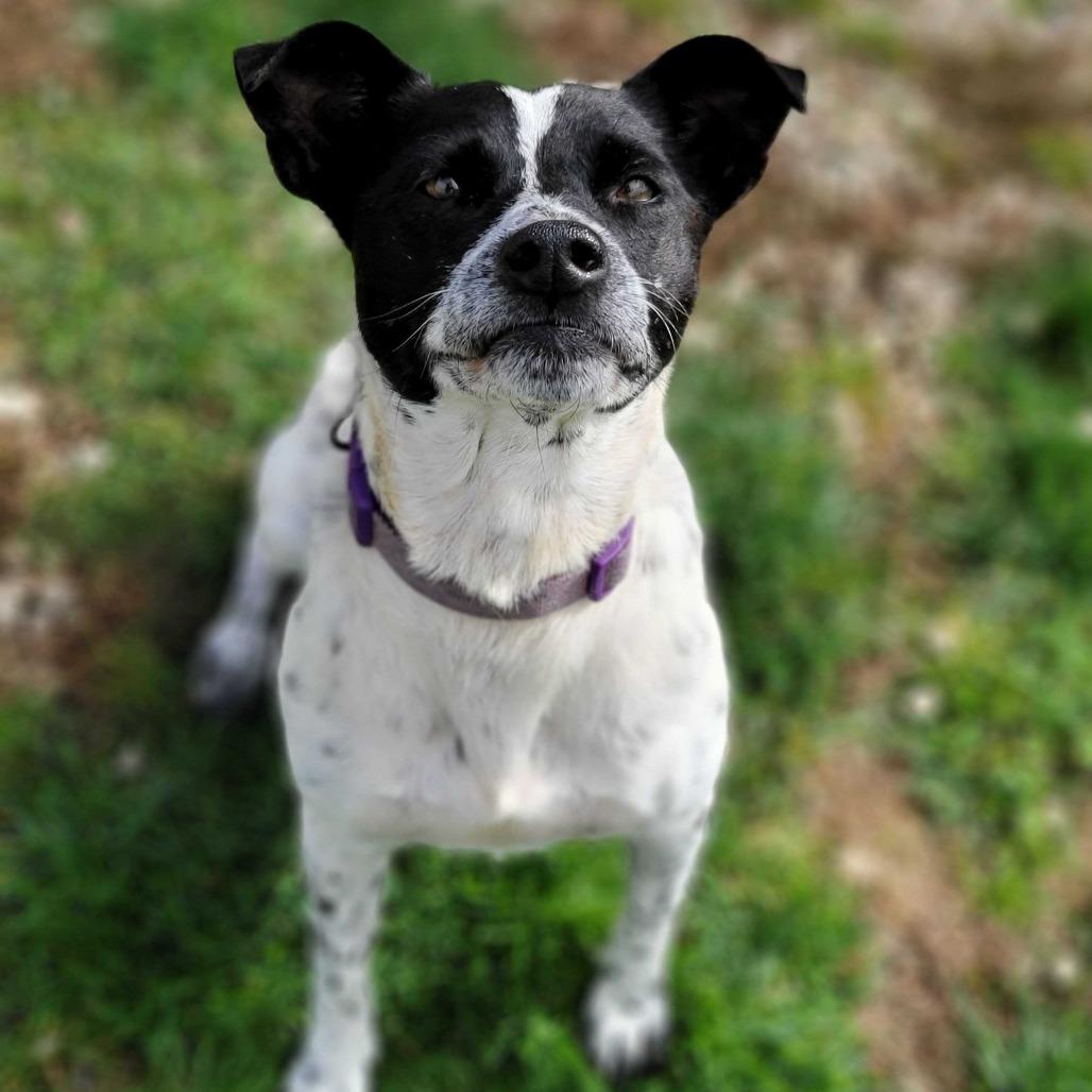 Bonnie