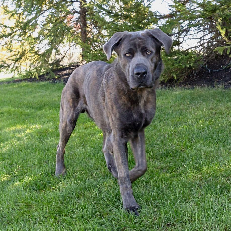 Walter