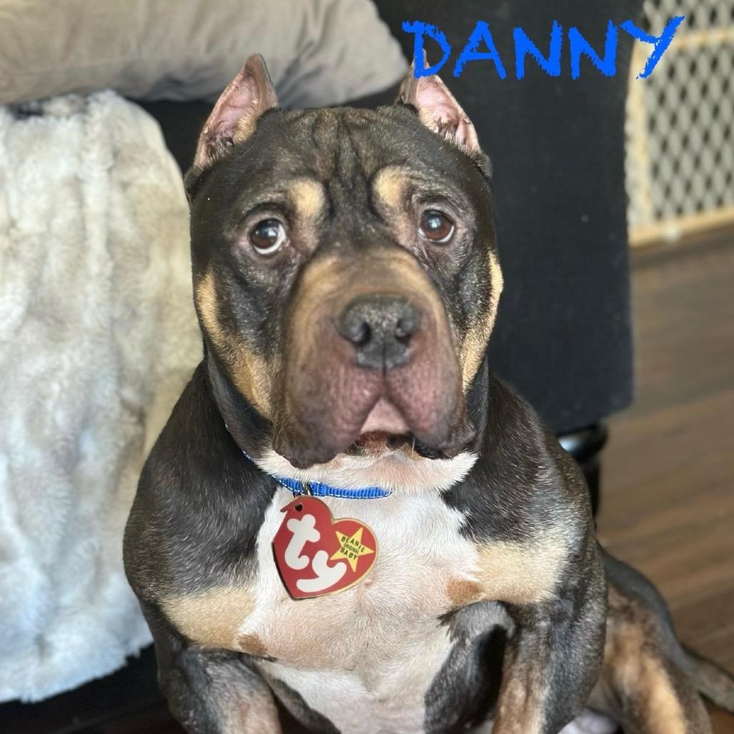 Danny