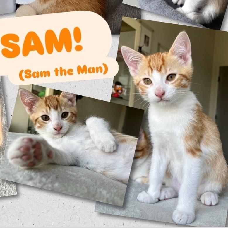 Sam
