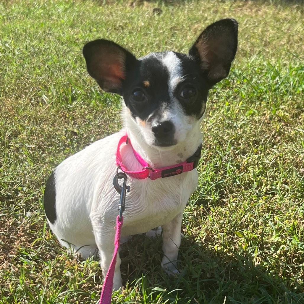 Darcy Claire