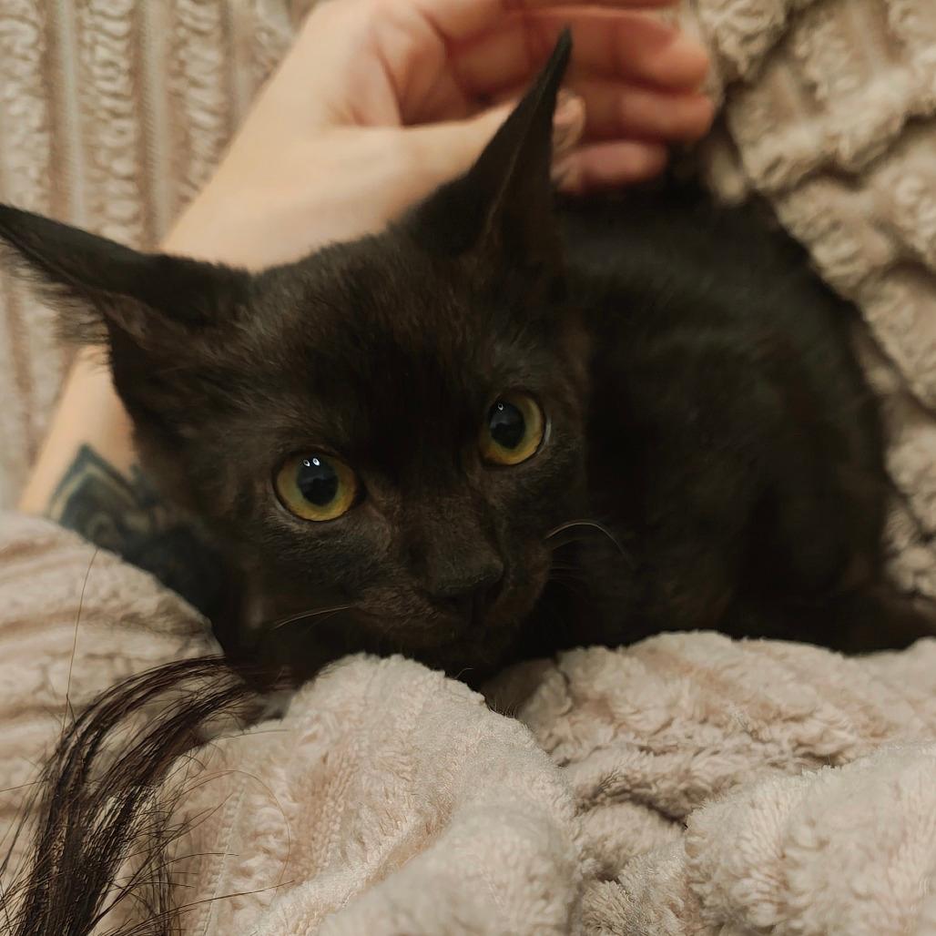 Vera