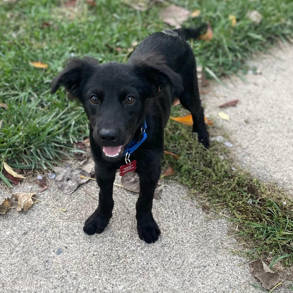 Murphy
